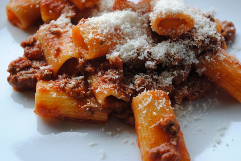 Rigatoni Bolognese Cat Can Cook