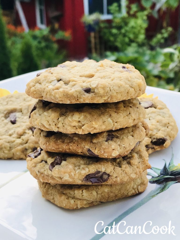 Easy Oatmeal Chocolate Chip Cookies
