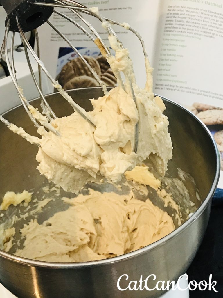 Oatmeal Chocolate Chip Cookie Batter